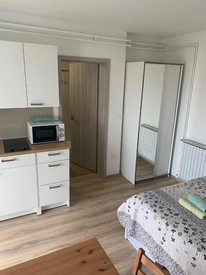 Nice And Fun Sandra Porec Apartment