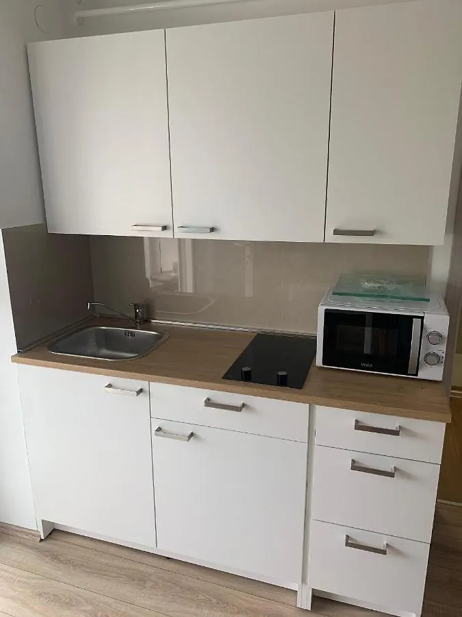Nice And Fun Sandra Porec Apartment